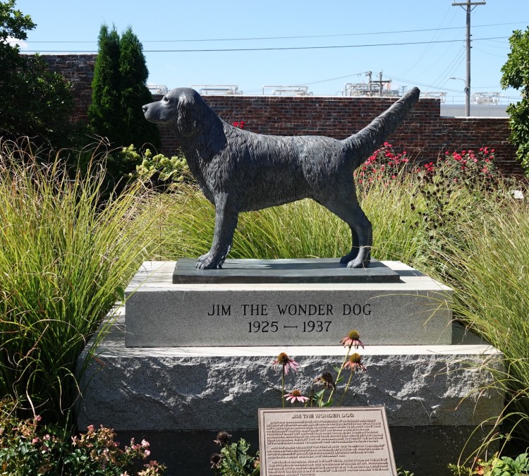 Jim The Wonder Dog Museum (Marshall,&nbspMO)